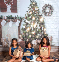 Elegant Christmas